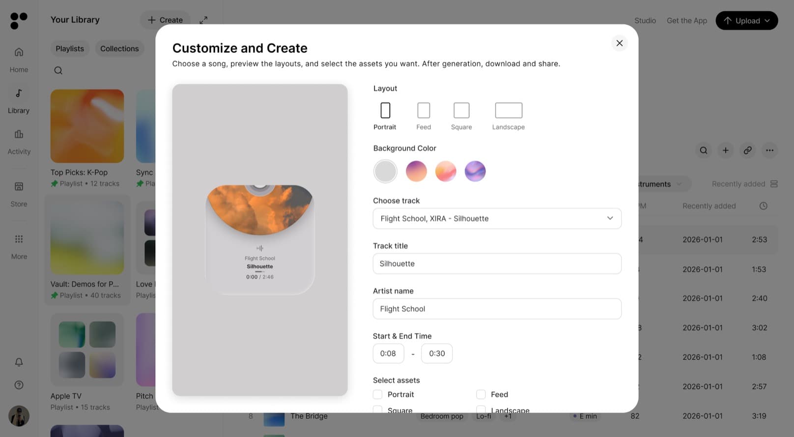 The visuals export dialog with layout options